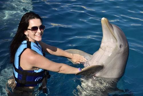 Фото: туры в Бока Чика (Доминиканская Республика), плавание с дельфинами