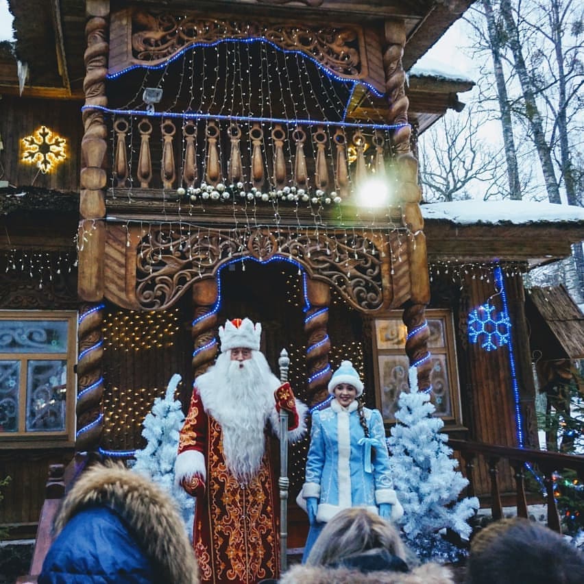 Фото: туры на Новый год в Беларусь (Беловежская пуща)