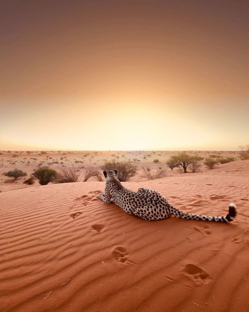 Пустыня Калахари, Намибия