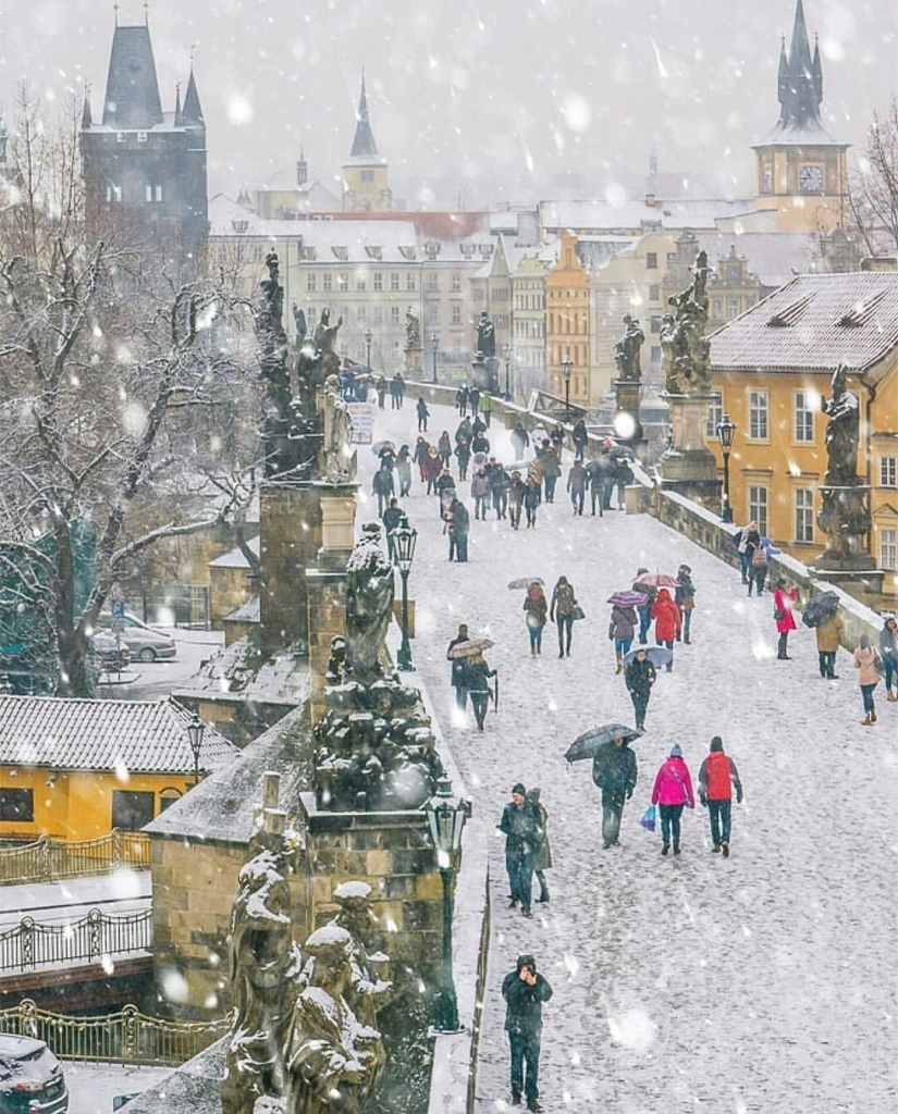 Карлов мост