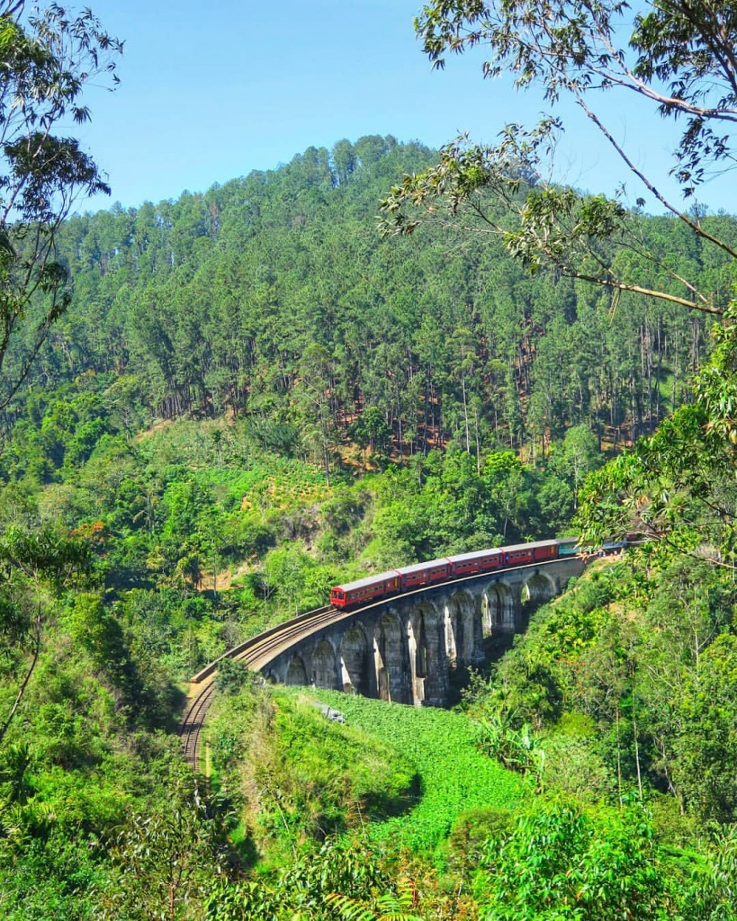 Фото: раннее бронирование туров в Шри-Ланку, путешествие на поезде