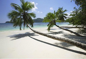 Природа Сейшельских островов