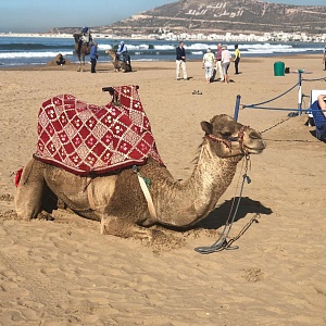 Лучшие пляжи Агадира, Марокко