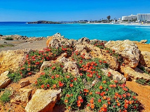 Nissi Beach 4*, Айа-Напа, Кипр